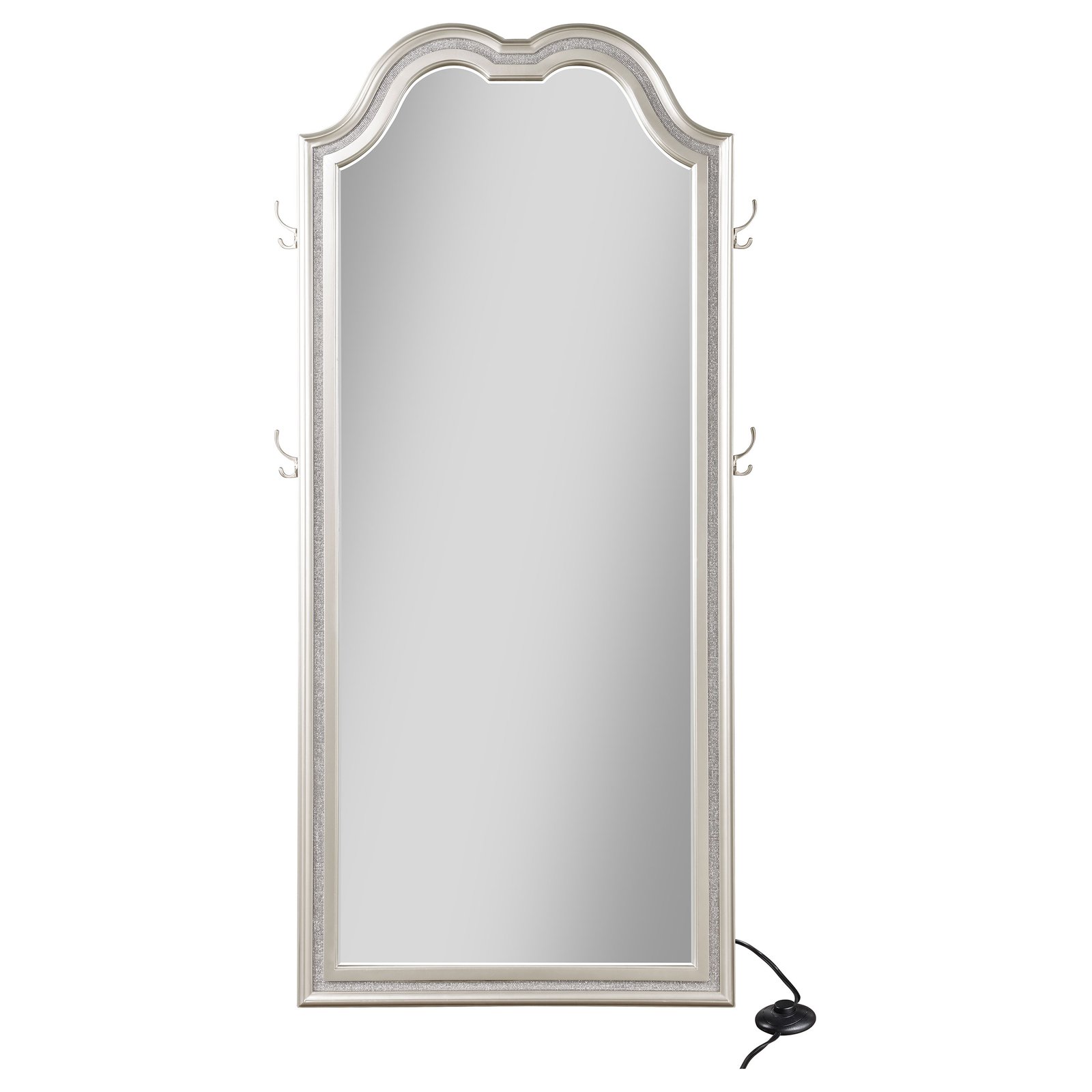 Evangeline Full Length LED Light Floor Mirror Silver Oak - Image 4