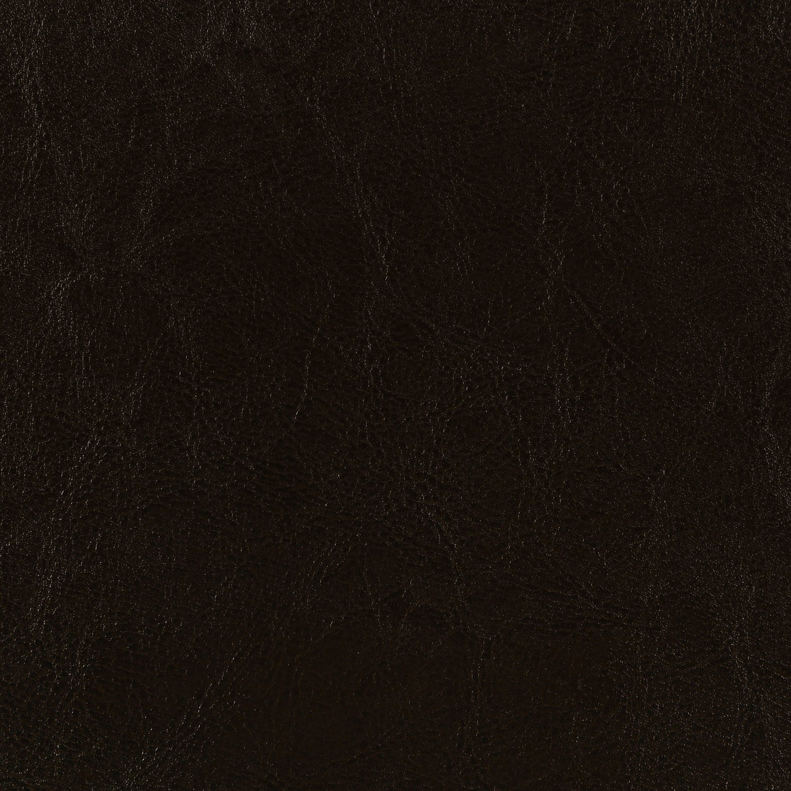 Dorian Faux Leather Upholstered Eastern King Panel Bed Brown - Image 3